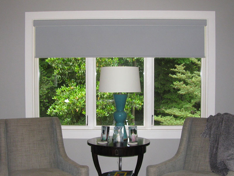 Living room shades